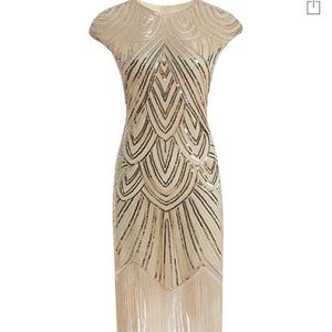 Women’s 1920s Vintage Flapper Fringe Beaded Dress